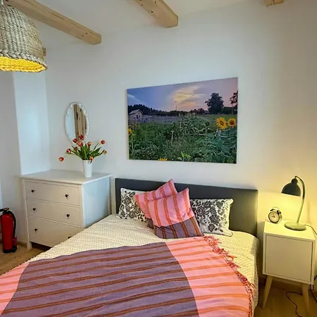 Modern Farm With A Swimming Pond Apartment Schalkham