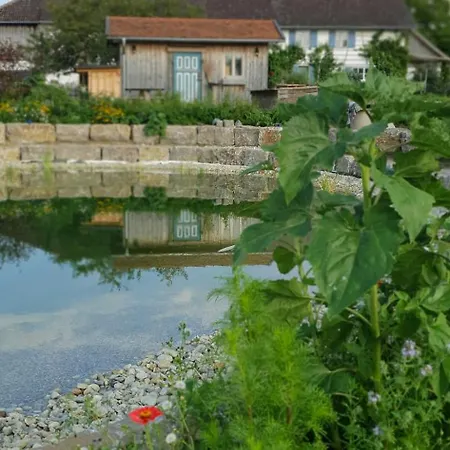 Apartment Modern Farm With A Swimming Pond