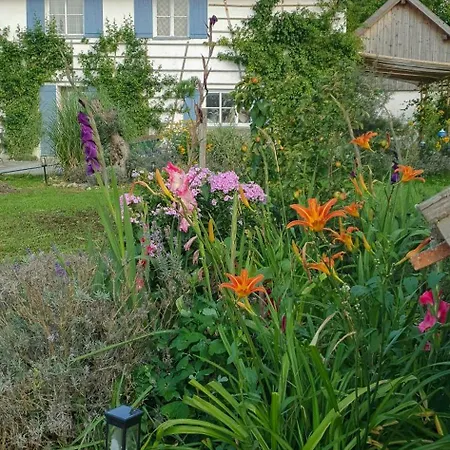 Apartment Modern Farm With A Swimming Pond Schalkham