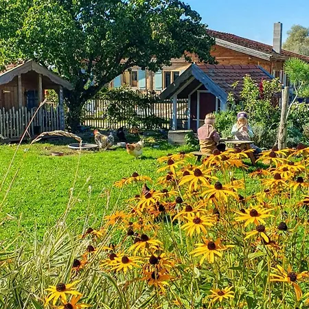 Modern Farm With A Swimming Pond