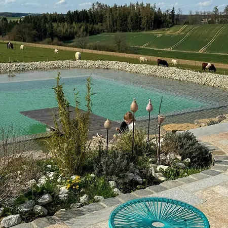 Modern Farm With A Swimming Pond Apartment